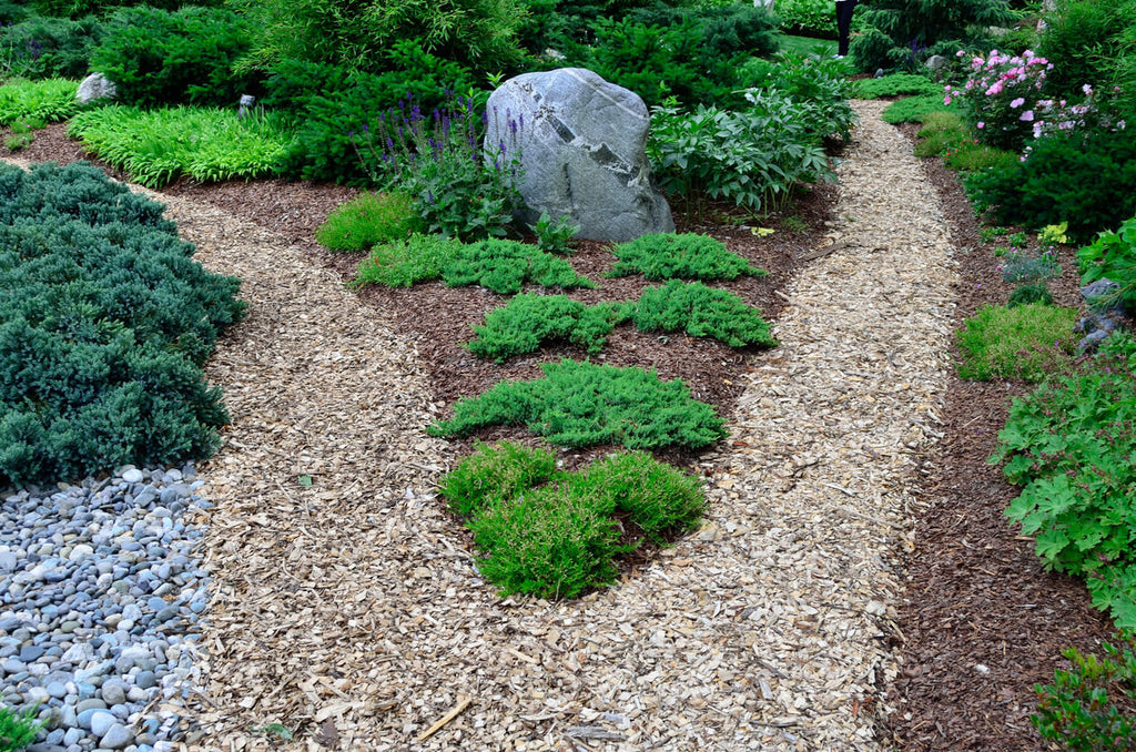 Top 10 Garden Tips for February