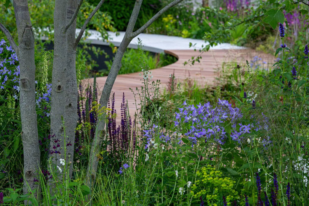 Up the garden path: a landscapers guide to paving