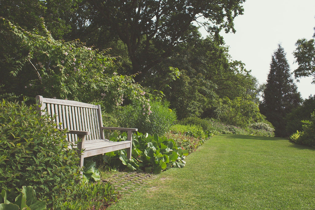 Low maintenance gardens