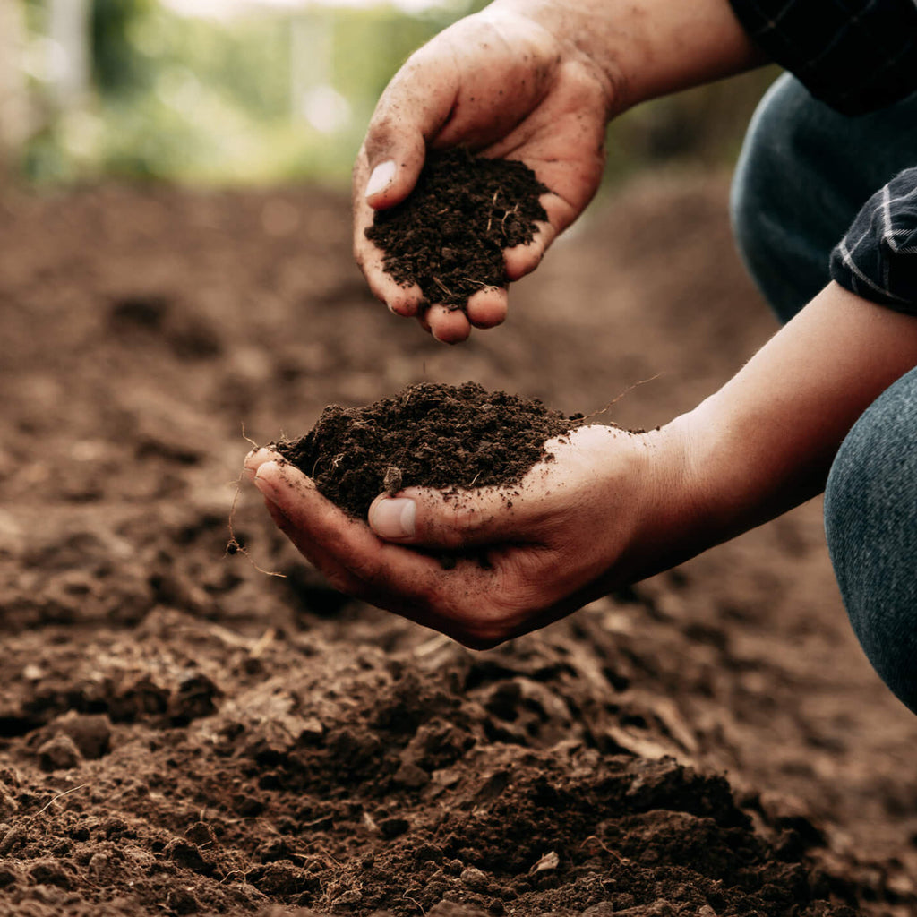 Auckland Topsoil 2